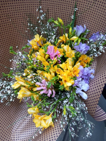 WhatsApp Image 2026-01-29 at 15.56.06.jpeg